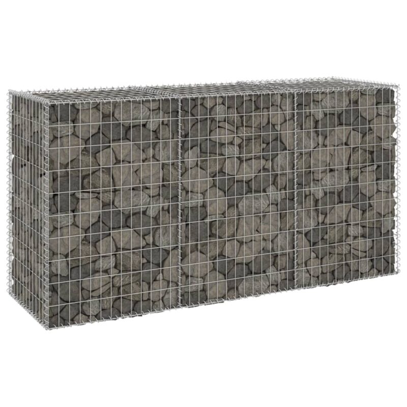 Sonata Габионна стена с капаци, поцинкована стомана, 200x60x100 см Намаления и отстъпки ЧеренПетък 3