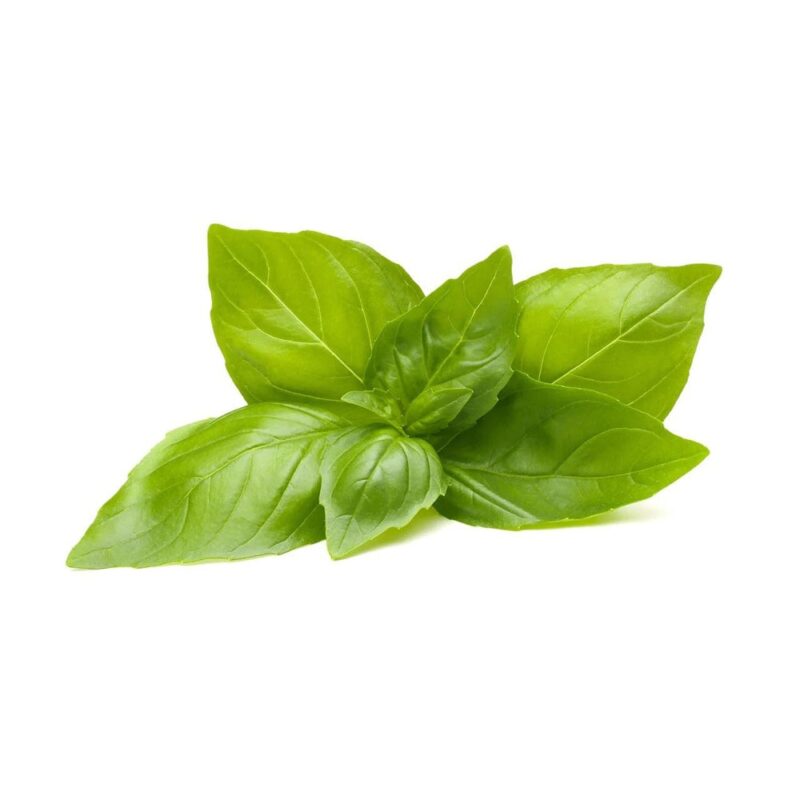 Семена Click and Grow, лимонен босилек, 3 броя Намаления и отстъпки ЧеренПетък 3
